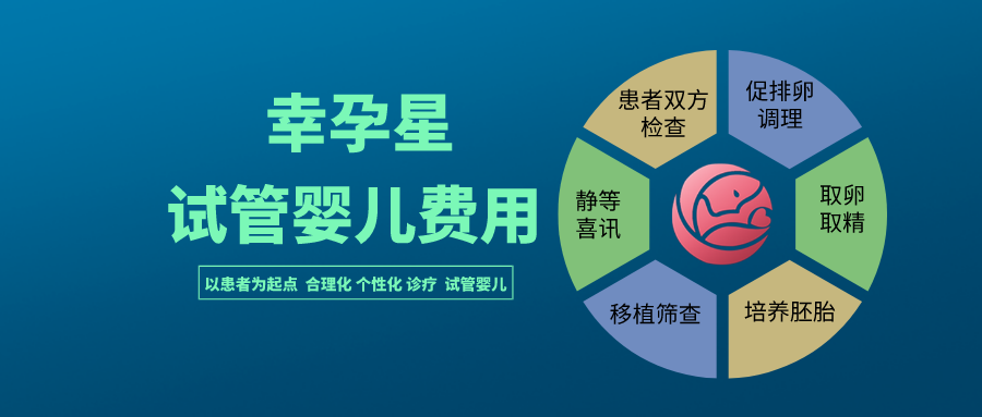 北京幸孕星试管婴儿费用需要多少钱